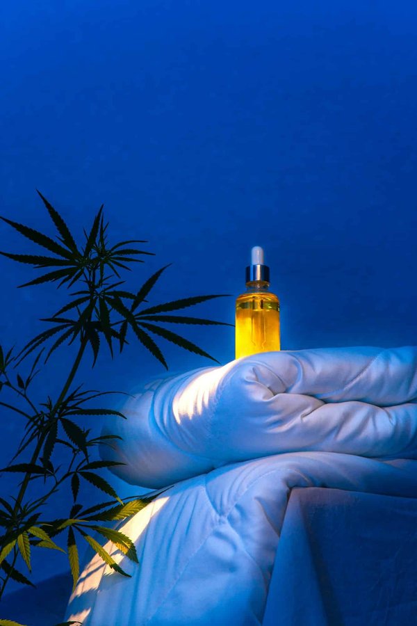 Comment bien utiliser l’huile de CBN pour améliorer la santé ?